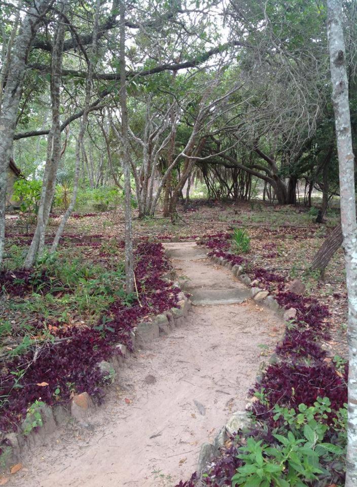 Riachinho Pousada Fazenda Vale do Capao Exterior foto